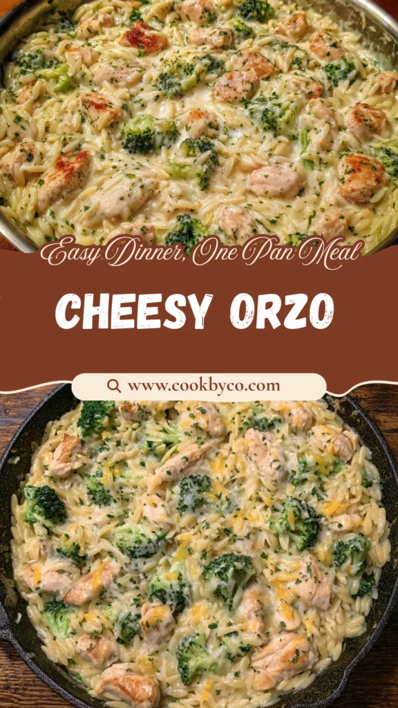 Cheesy Chicken Broccoli Orzo