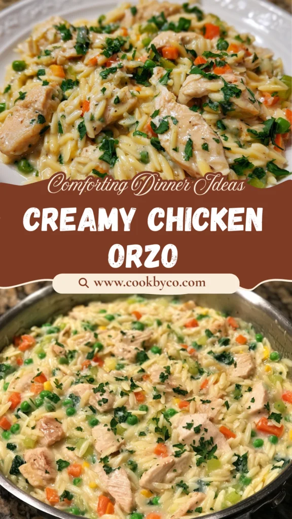 Creamy Chicken Orzo