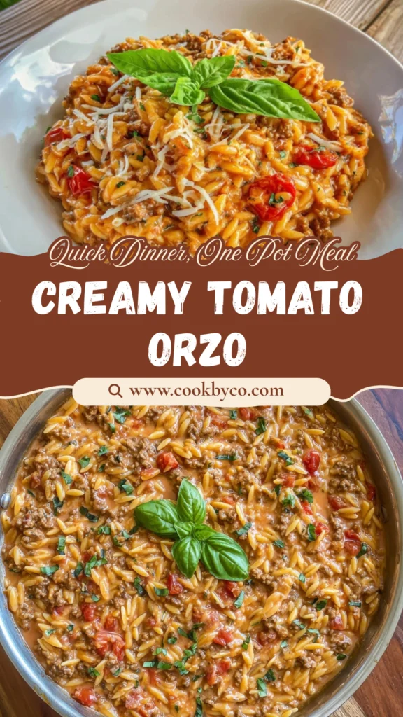 Creamy Tomato Ground Beef Orzo Dinner