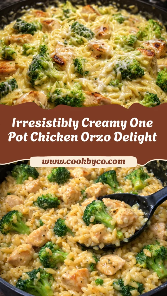 One Pot Cheesy Chicken And Broccoli Orzo