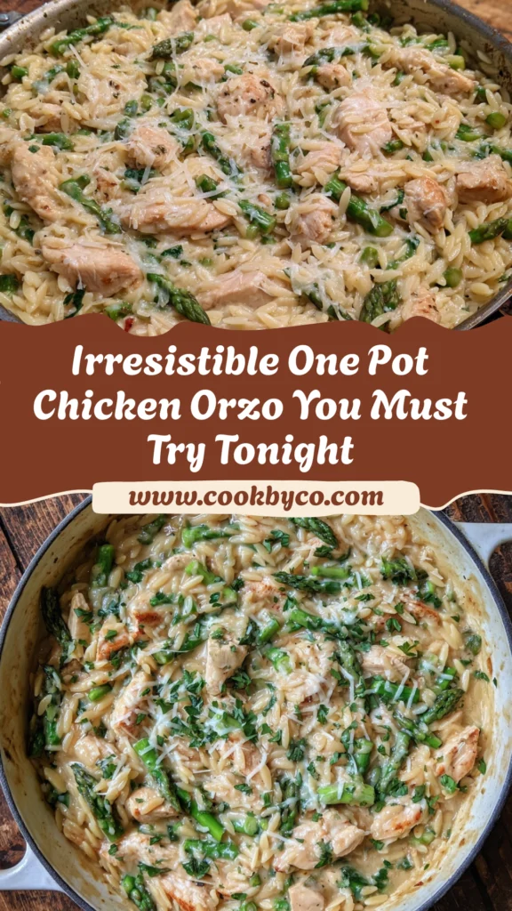 One Pot Chicken Orzo