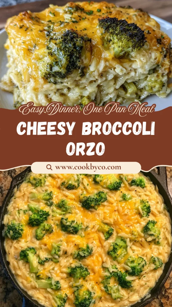 Cheesy Broccoli Orzo