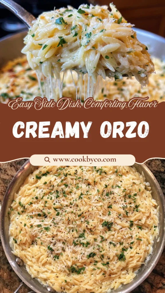Creamy Garlic Parmesan Orzo