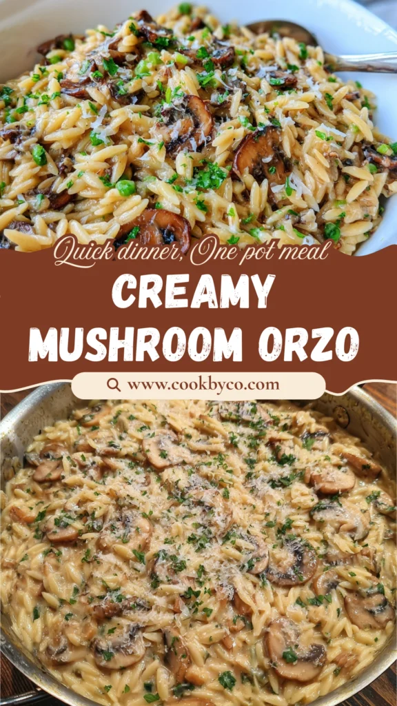 One-Pot Creamy Mushroom Orzo
